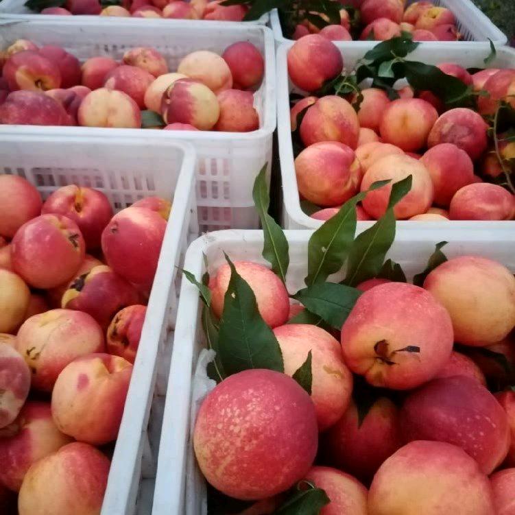 用户5710346374580腾飞