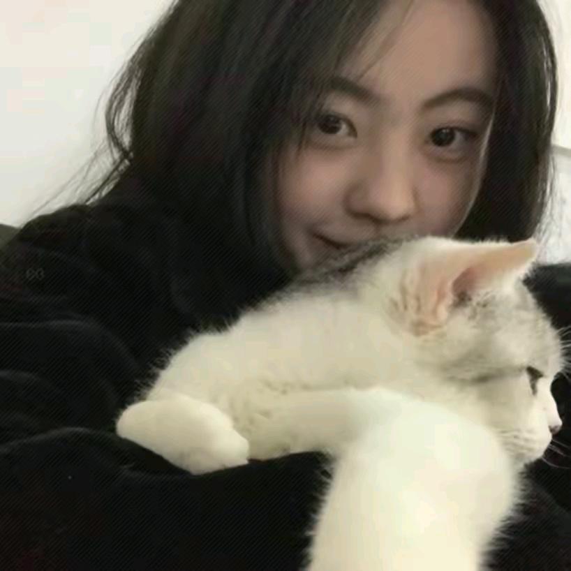 不能别回头