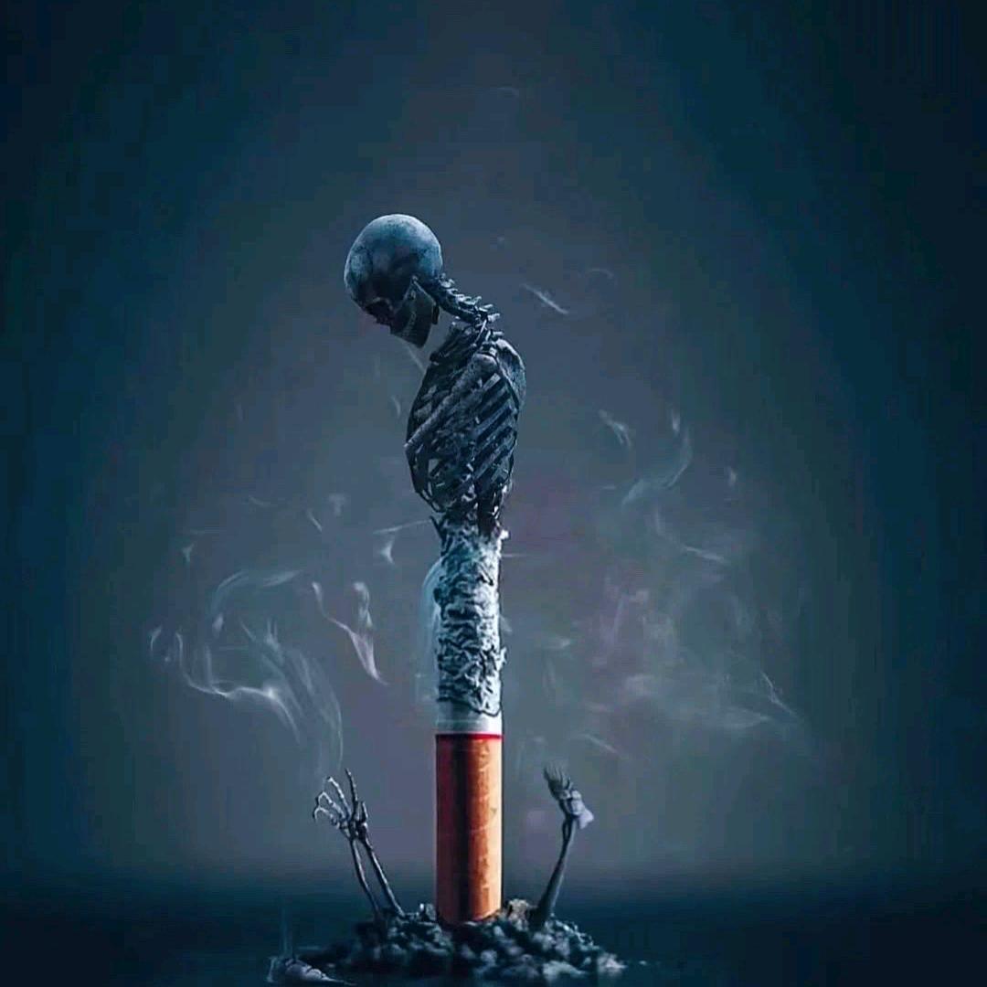 半秋，半冬，半浮生