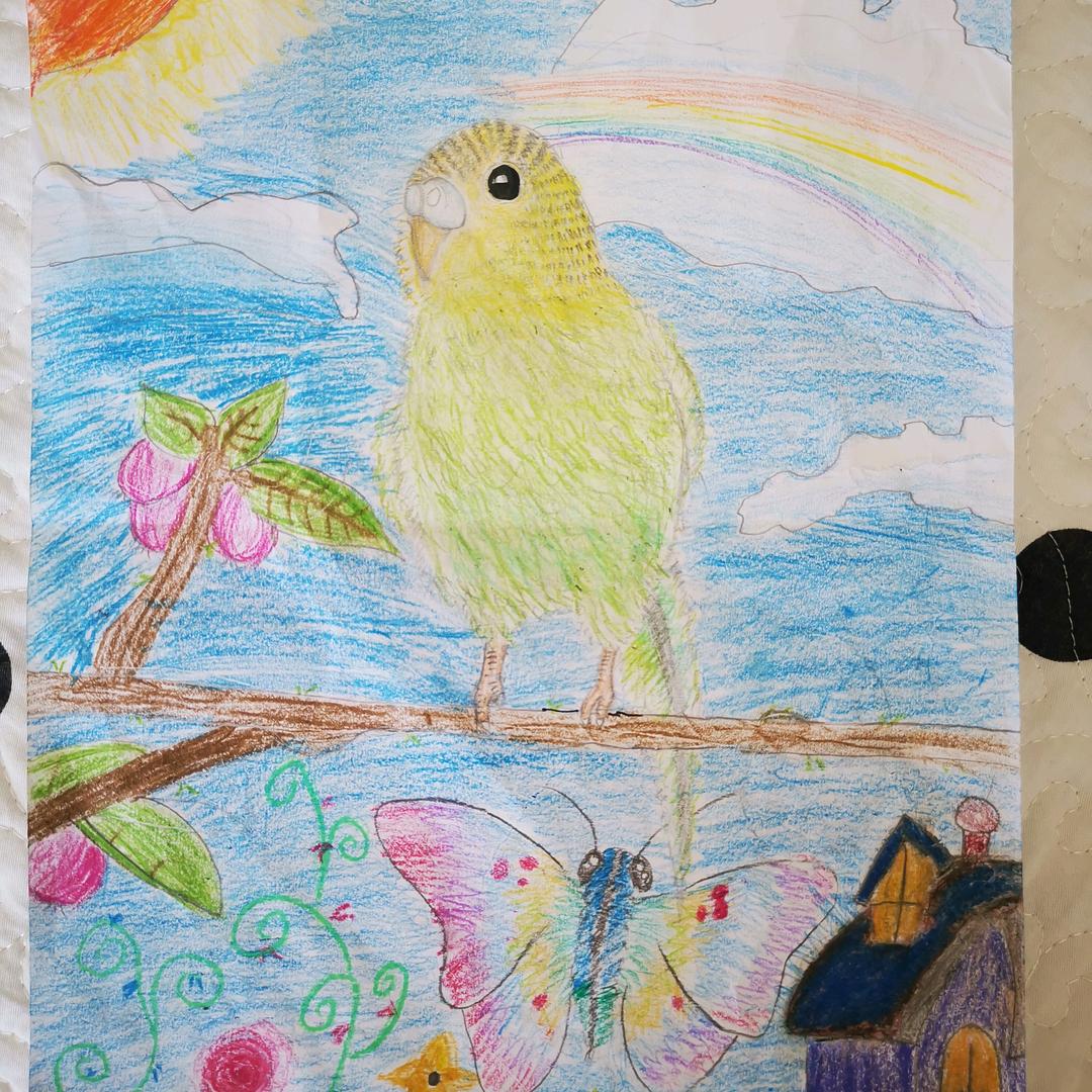 🌸春暖花开🌸