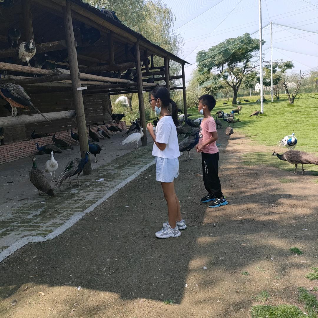 八零后宝妈（赵凡的生活日常）