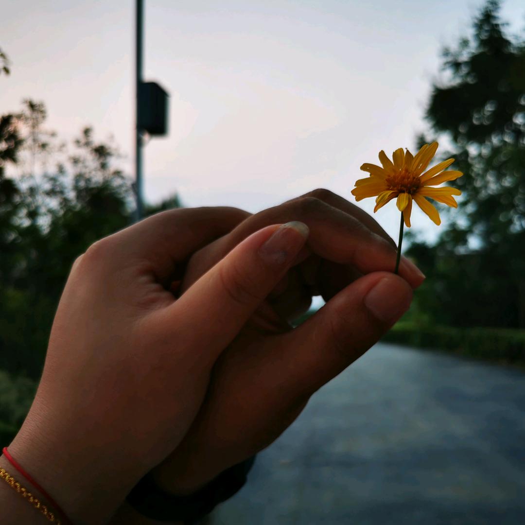 噎死特洛夫斯基