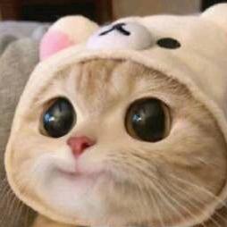 莫远寻南安