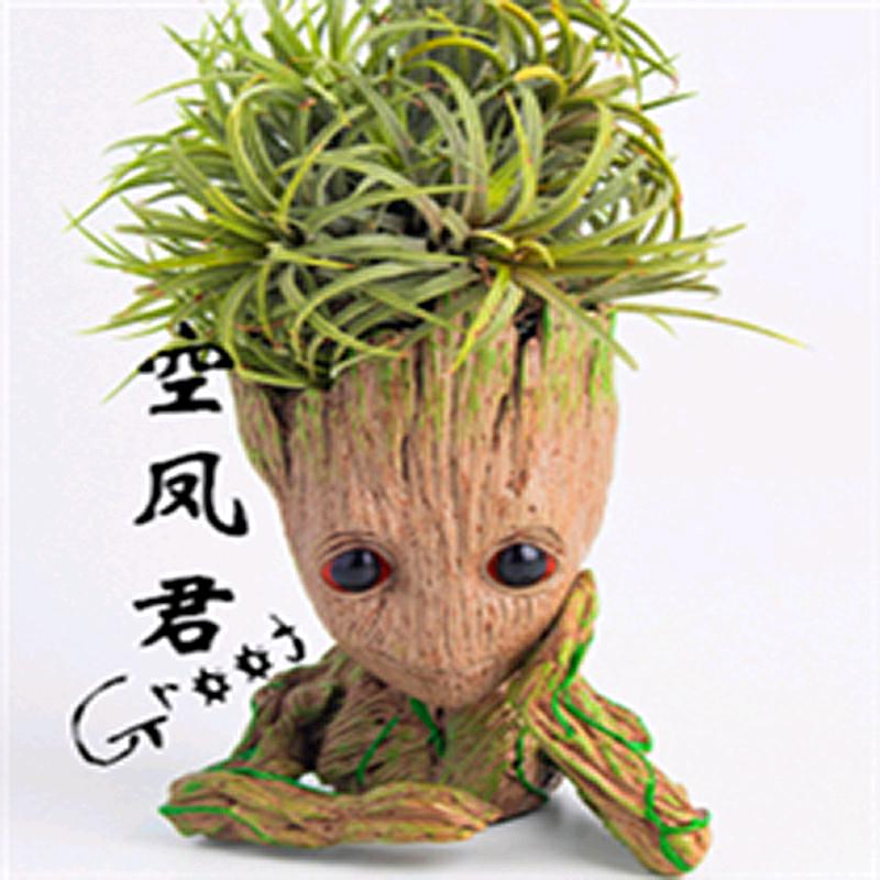 小卡养什么花