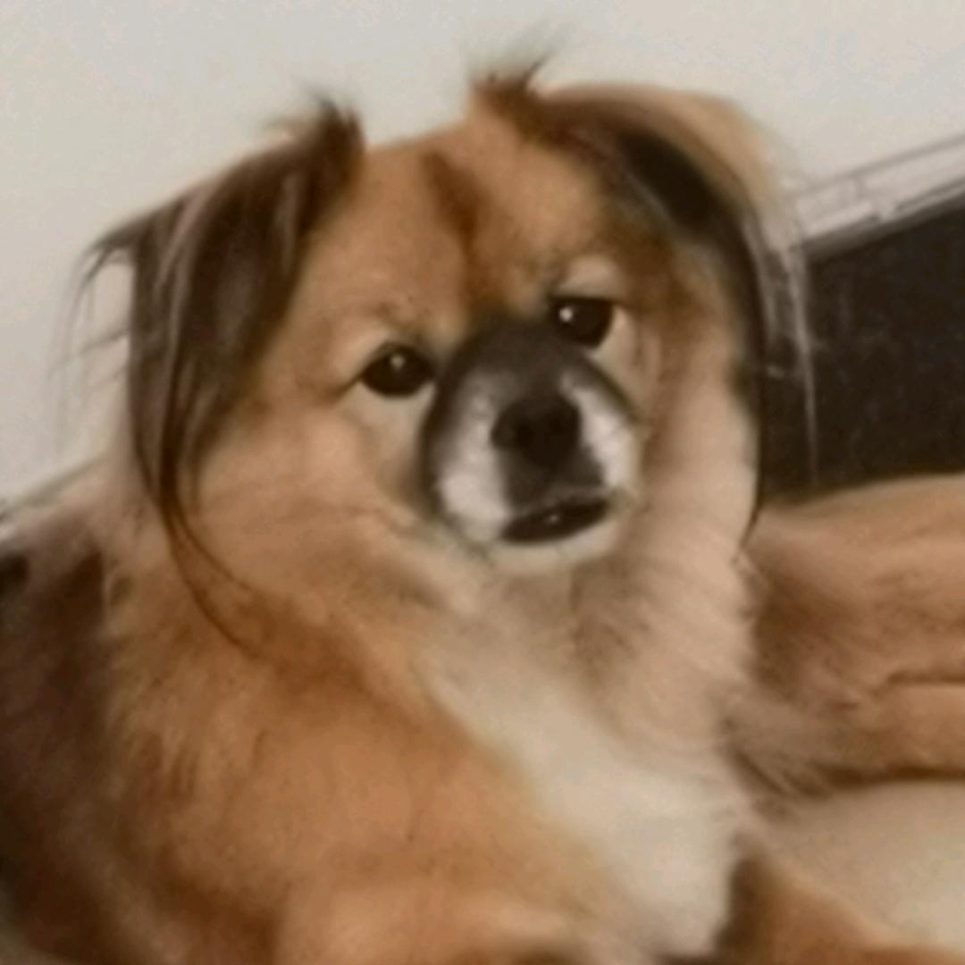 自来卷