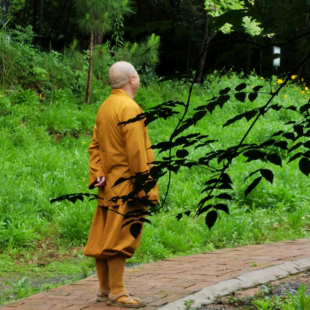 释果成（分享人生）