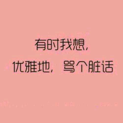 乐居居士，西南都护
