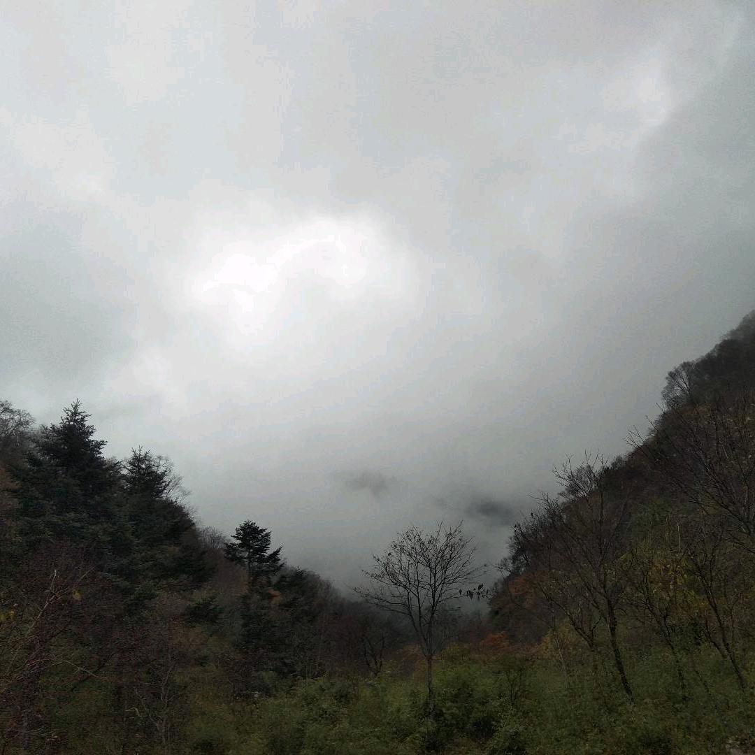 格物