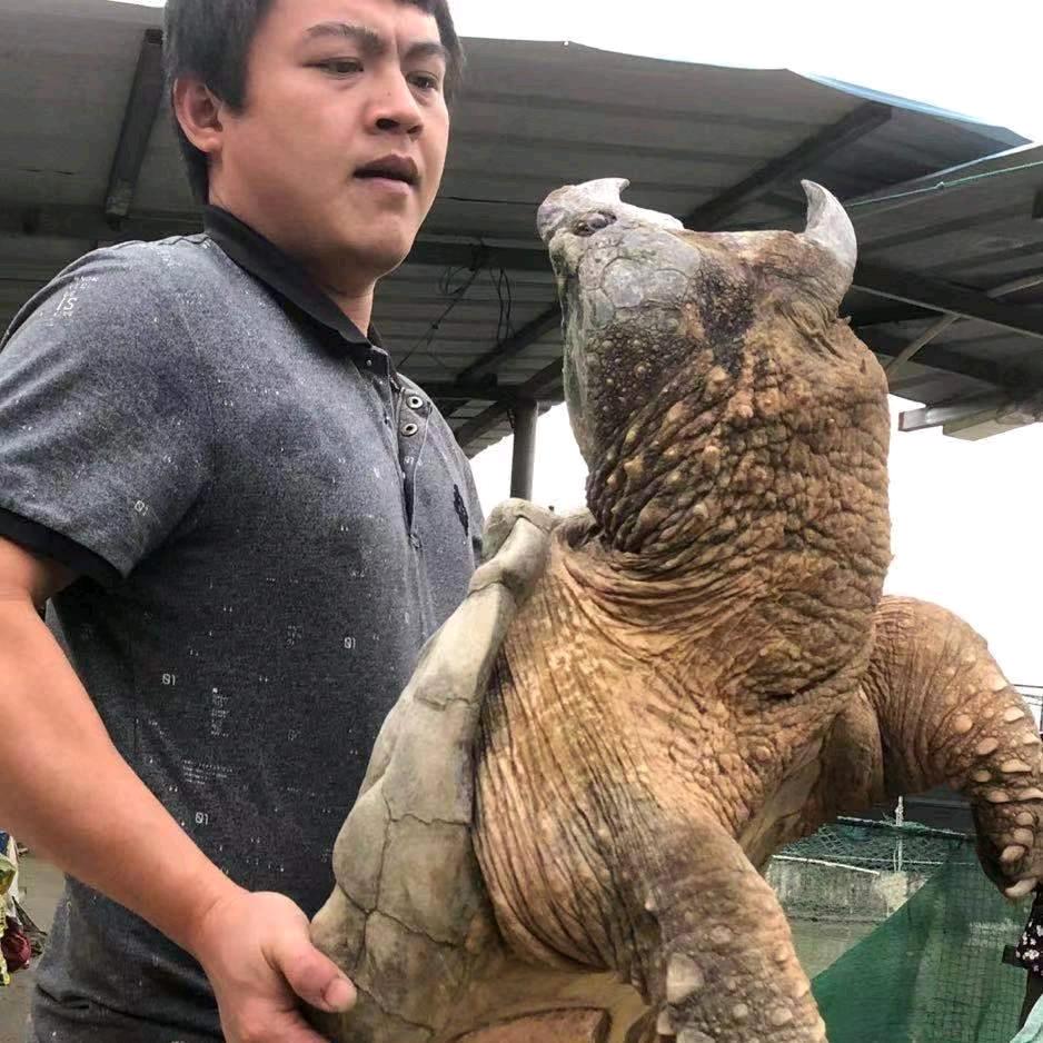 龟农人潇阳水产