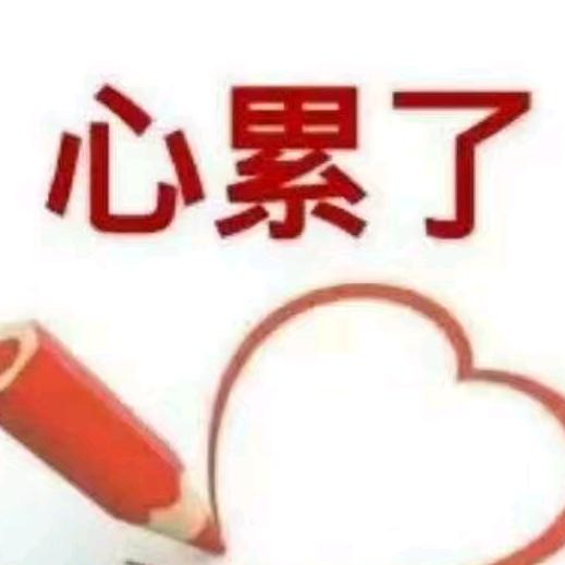 放羊的猪