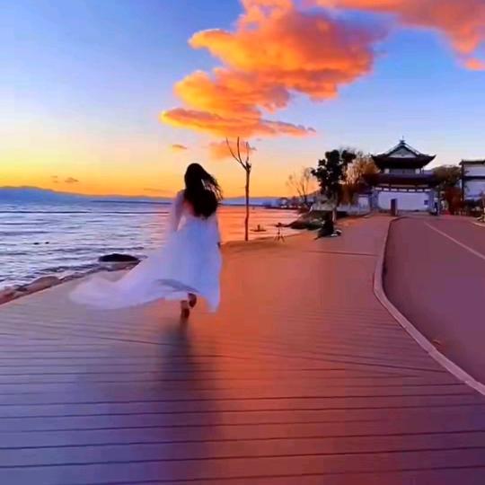 🍁🍁封心锁爱🍁🍁