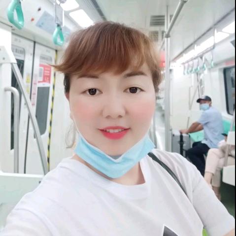 辛勤的小蜜蜂