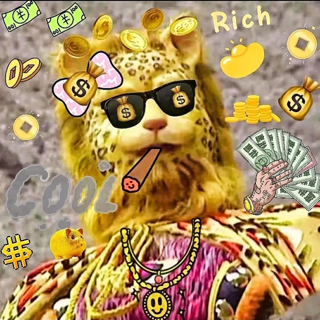 🌈有点智慧🌈