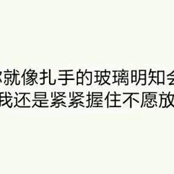 禾安🌸