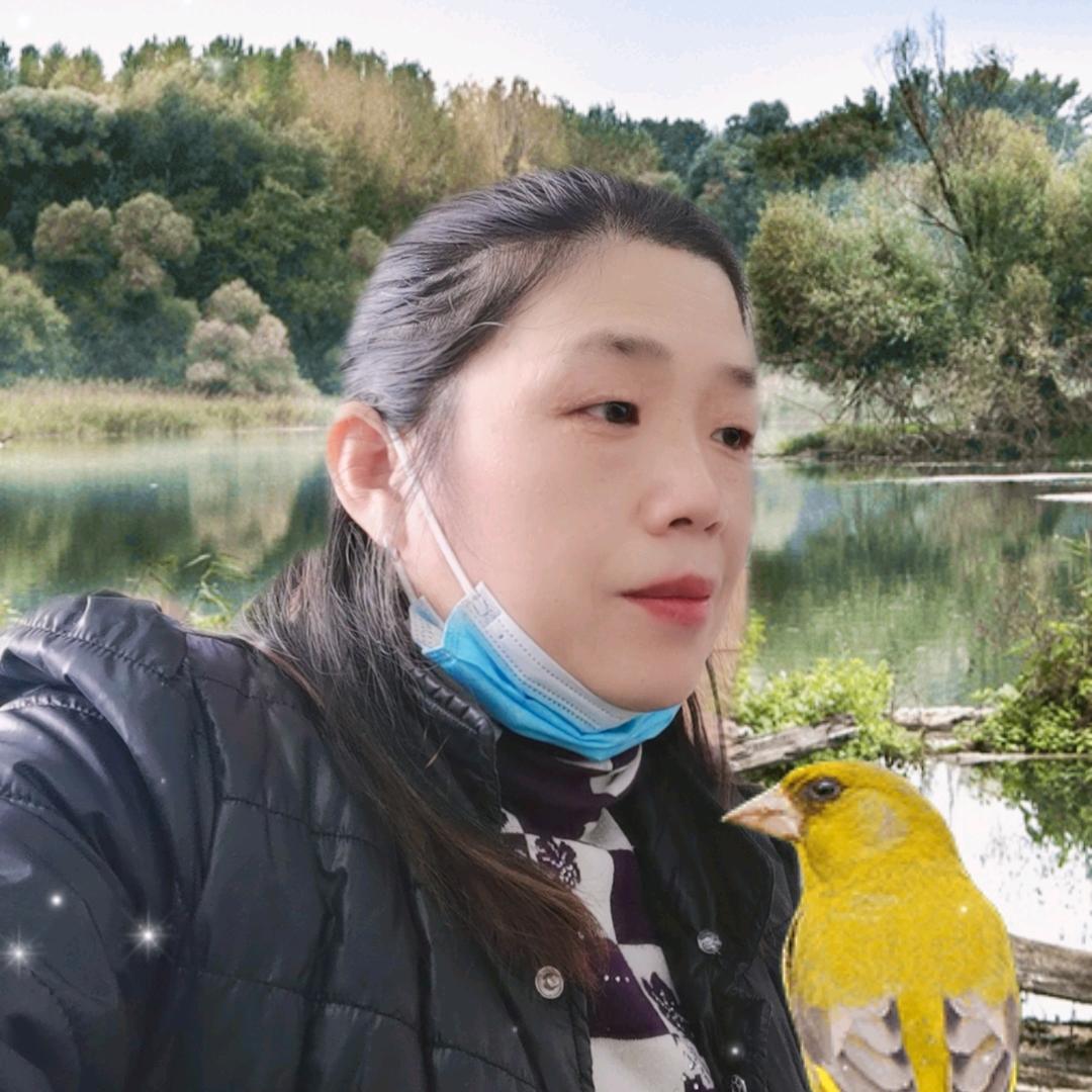 听心，静心❤