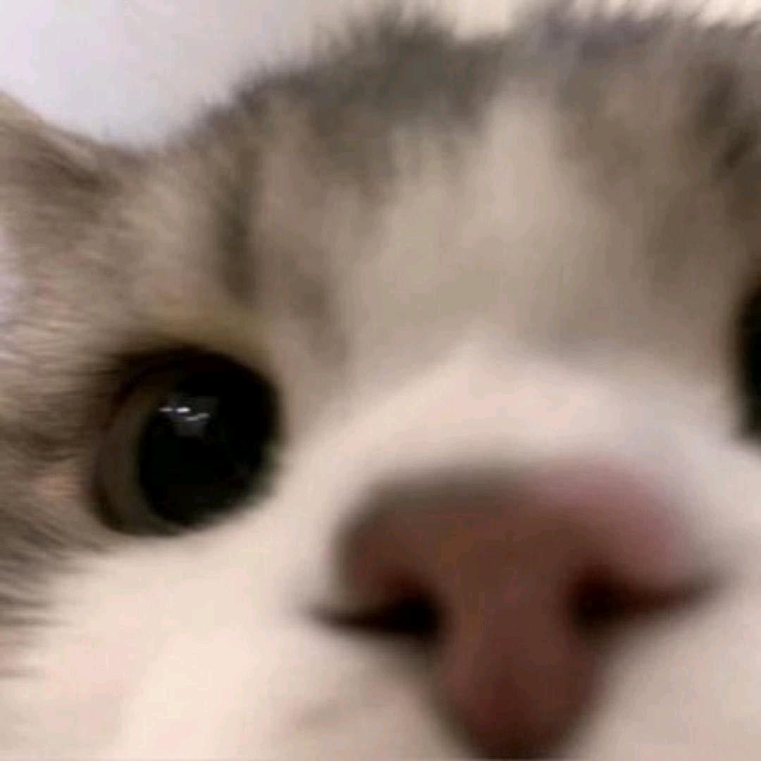 。。。。。。。。。