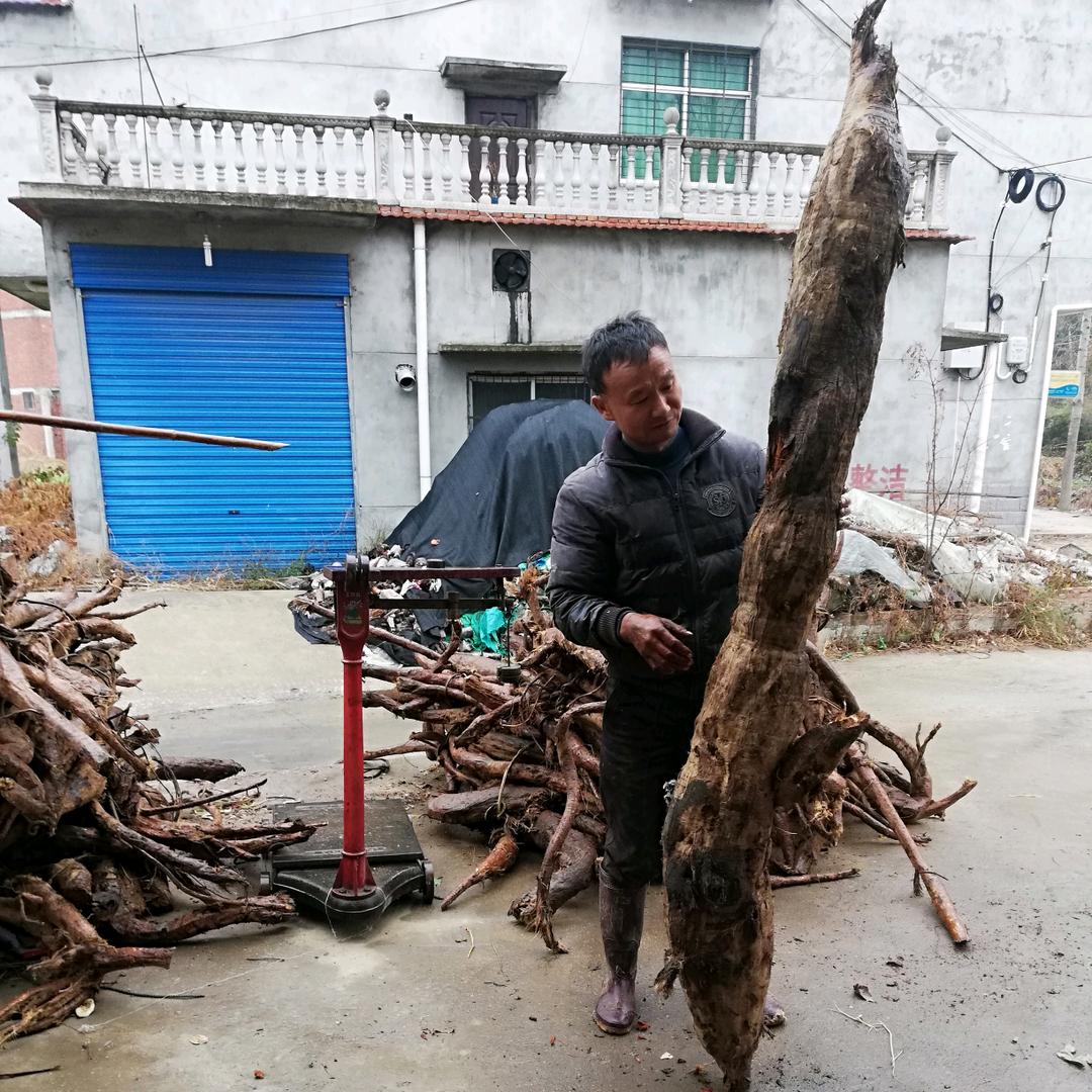 大自然的搬运工(小号)