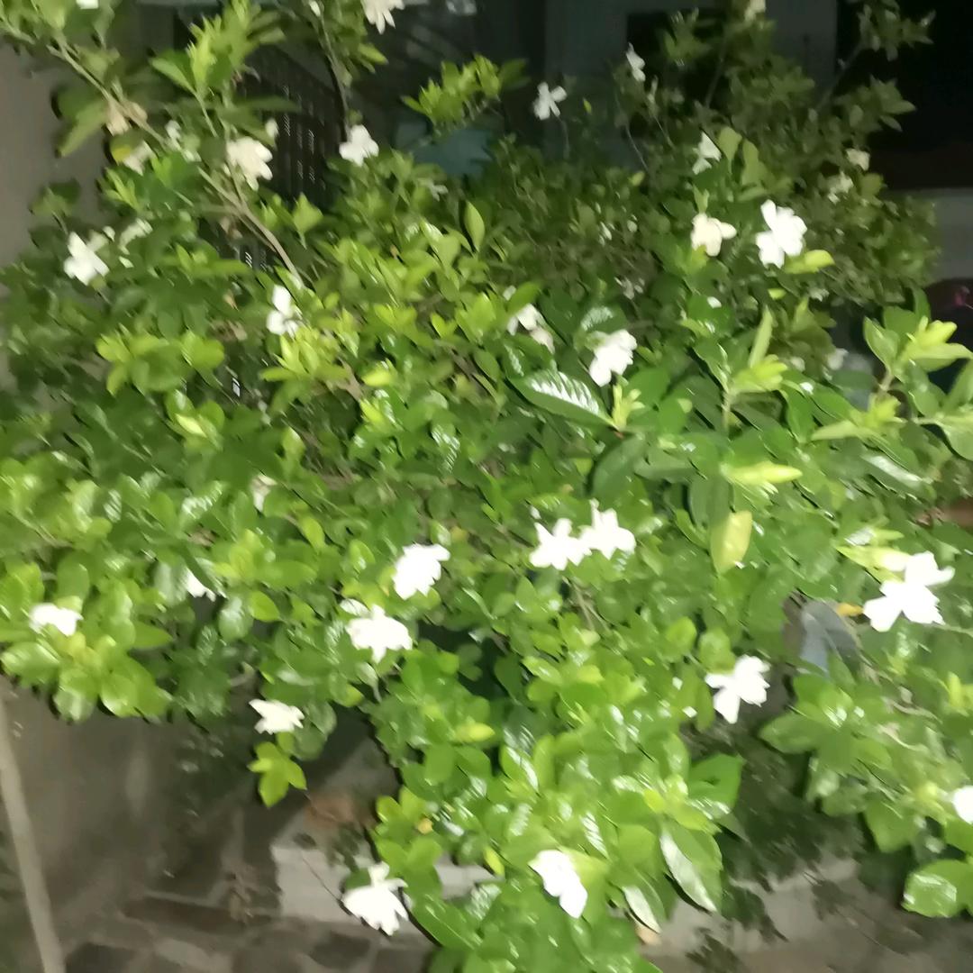 老王家的味道