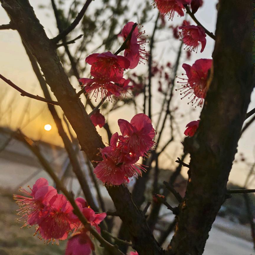 清晨阳光