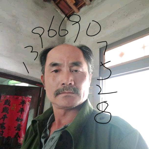 受伤的马
