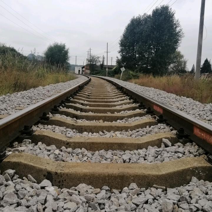 手背