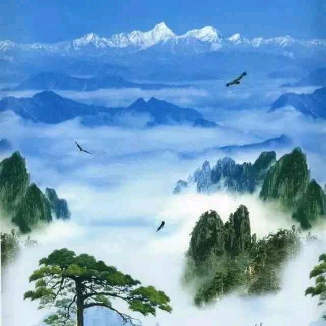 天马行空💫🔥⚡️❤️