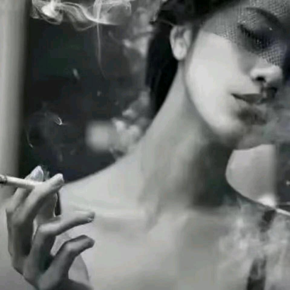 姐的孤独你不懂