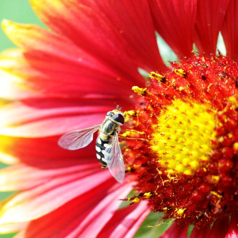 五颜秋色（zlj）