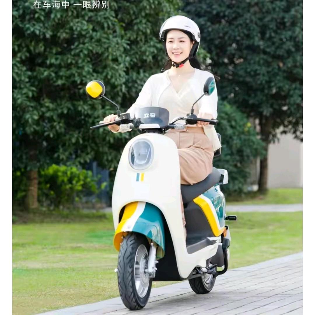 立马电动车(神农大道店)