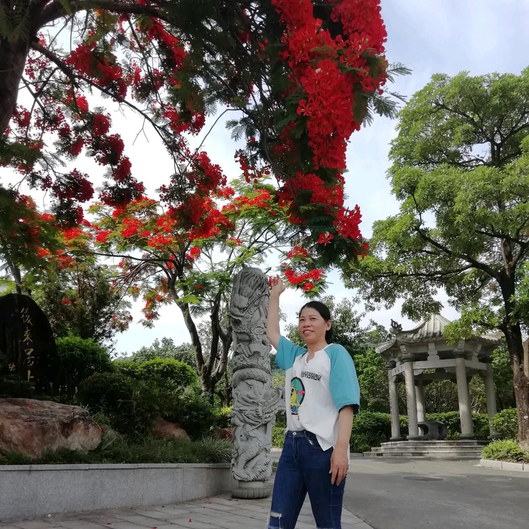 阿莲小姐姐(窗帘，沙发套)