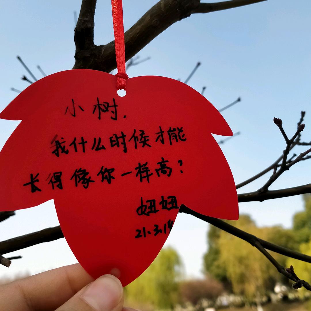 小张
