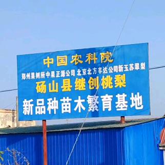 安徽继创果树苗木专营店