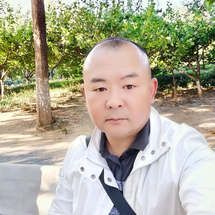 50小壮熊