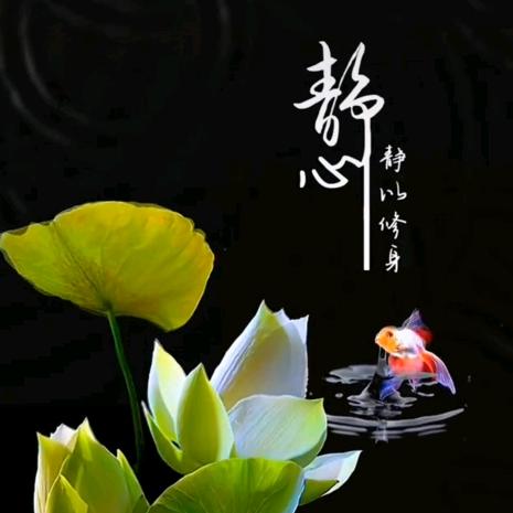 静以修身