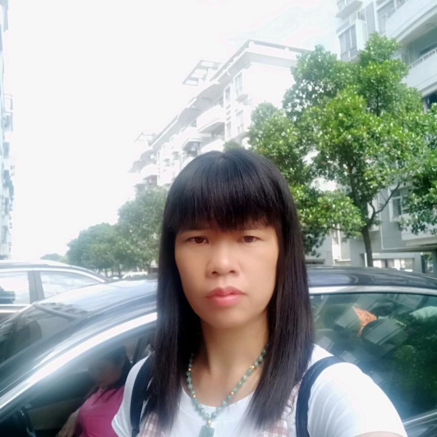 小燕子z
