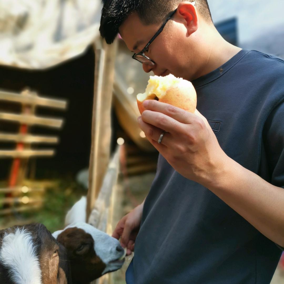 暖通老牛