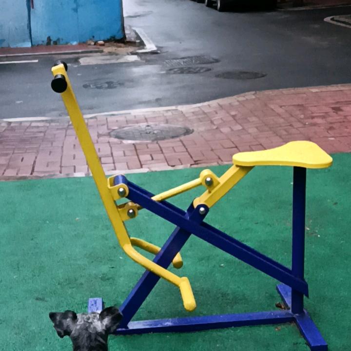 锻炼身体