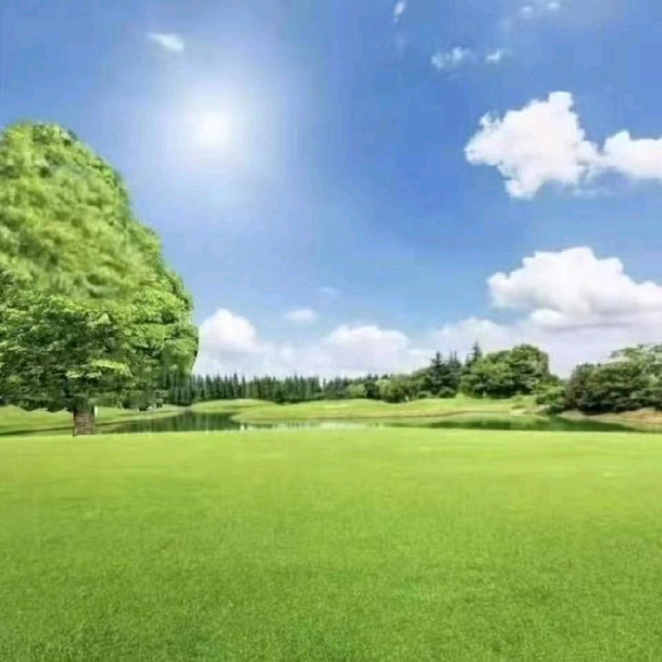 许向坚