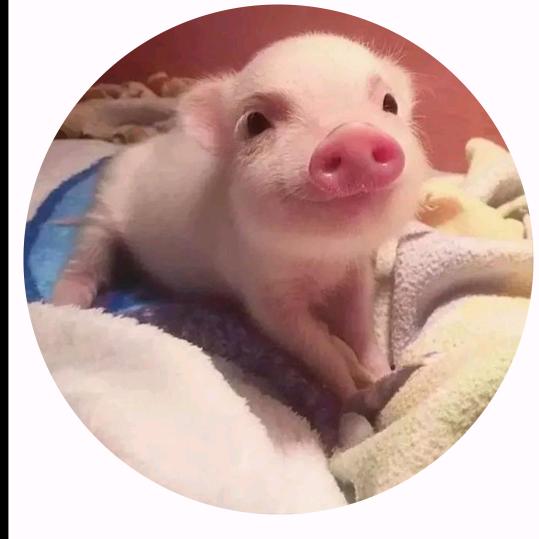 一生有李✺◟(∗❛ัᴗ❛ั∗)◞✺