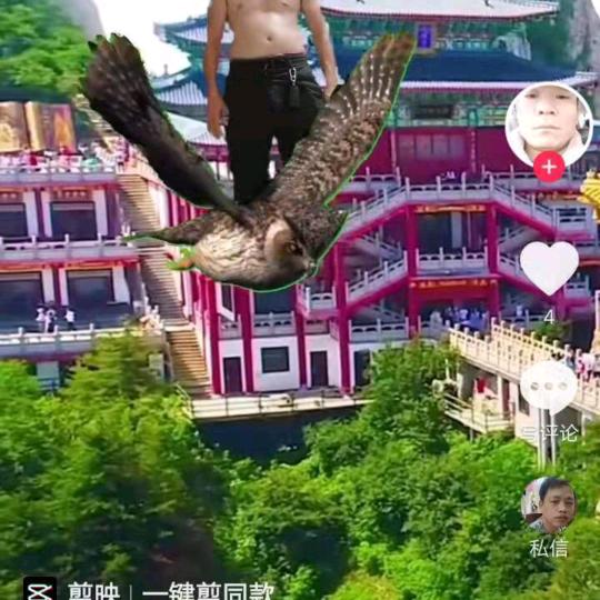 陆标