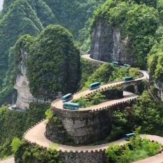 岁月不饶人🍐🎼