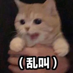 |･ω･｀)