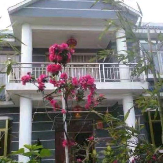 酬勤种植马运清