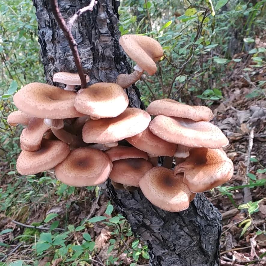 岁月静好_240968797