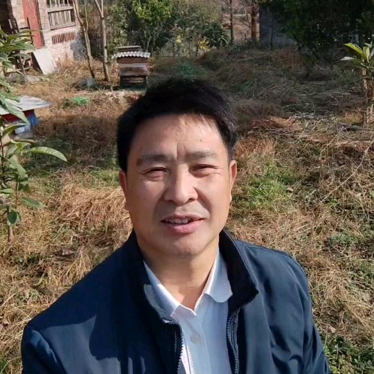 石溪养蜂人(小号)