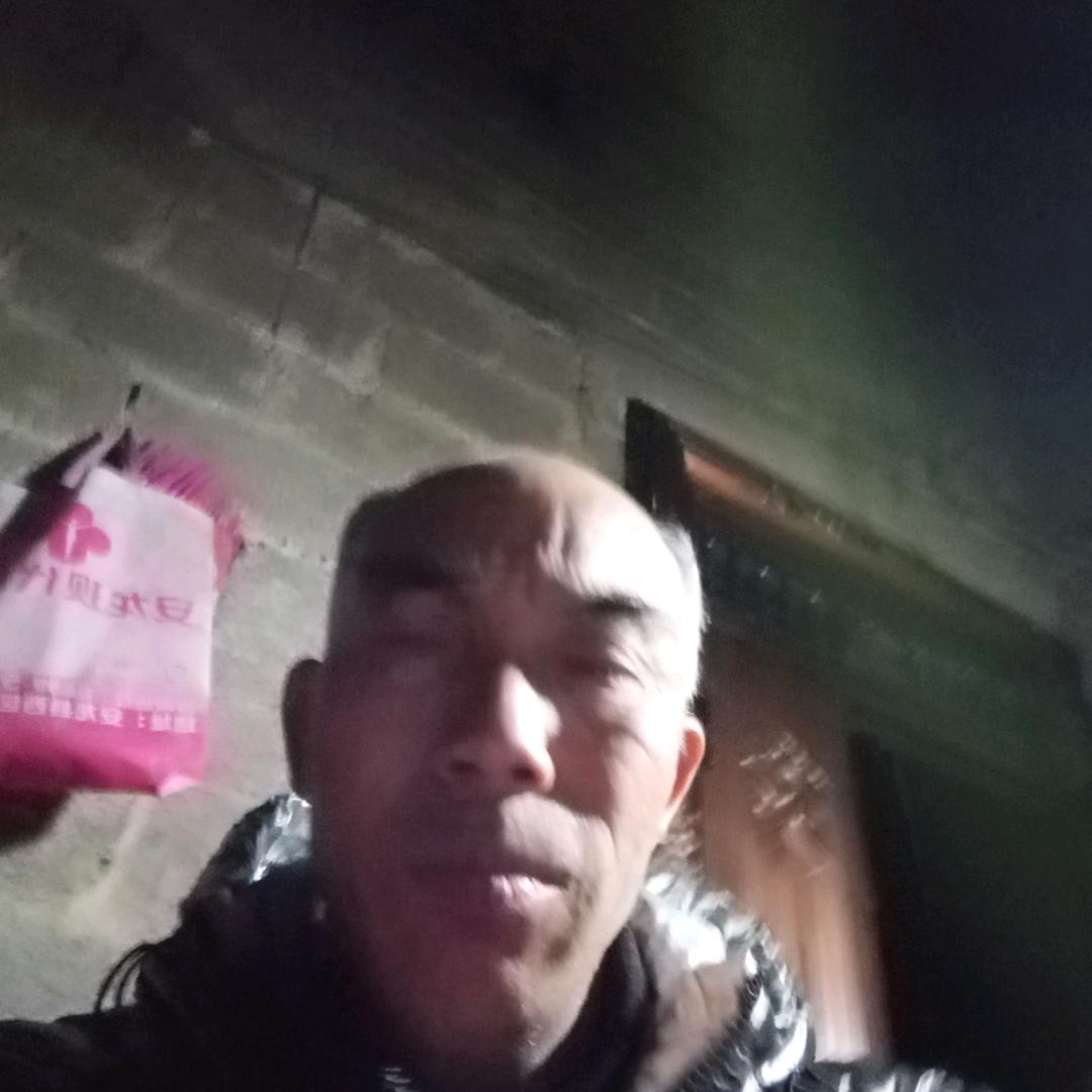 美好的春天