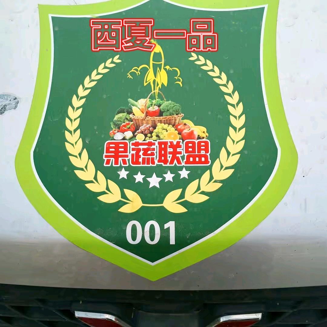 西夏一品果蔬联盟(001)
