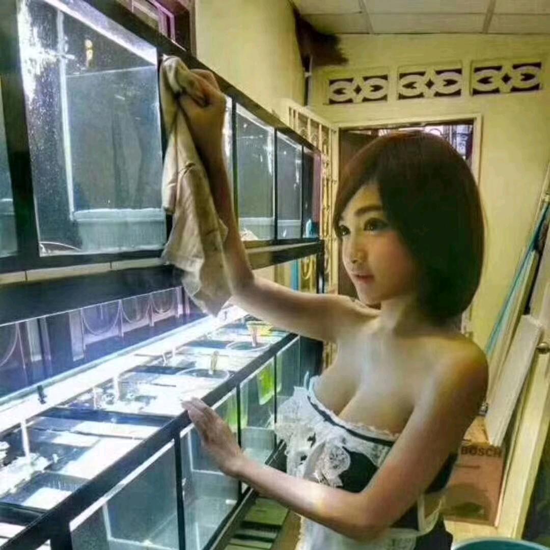 燕店水族鱼缸观赏鱼