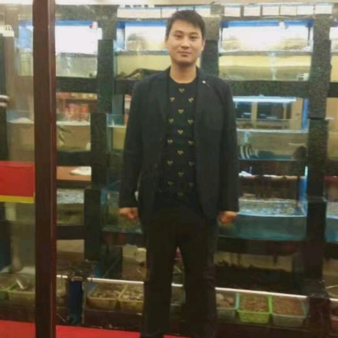 脱缰的野马