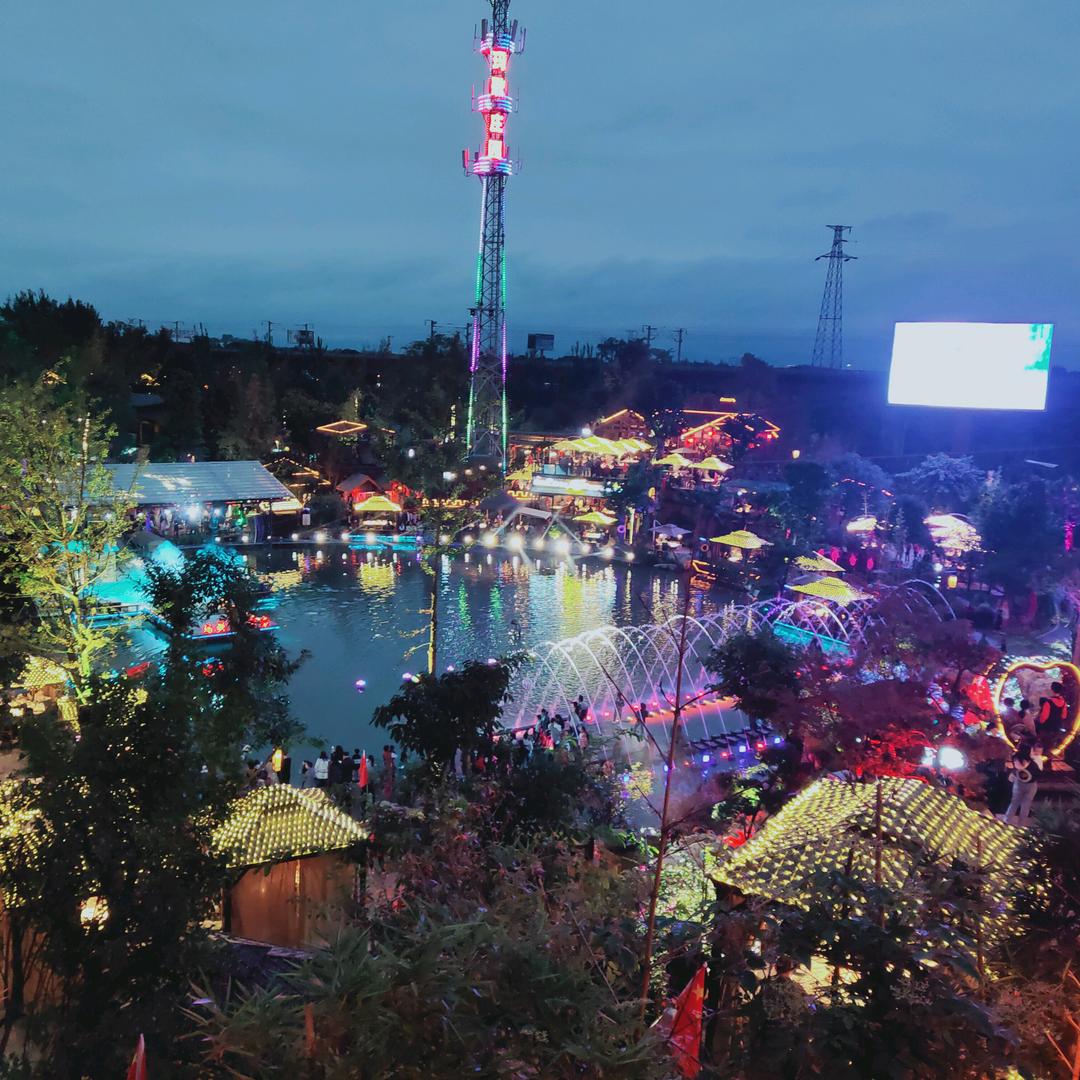 大饼脸的向日葵🌻